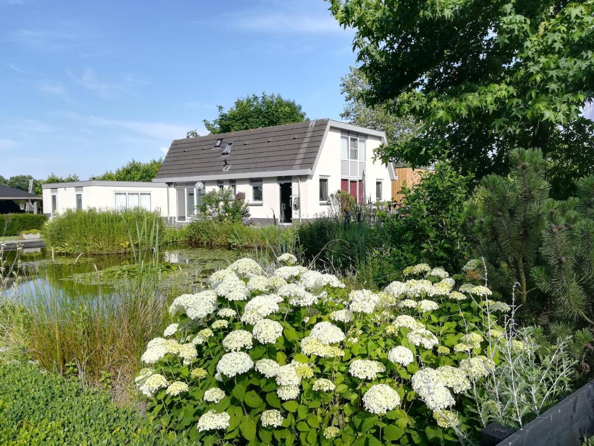 Luxe Studio Bovenweg Ренен Екстер'єр фото